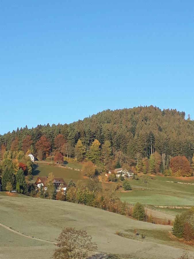 Isoldes Landhaus Baiersbronn Exterior foto